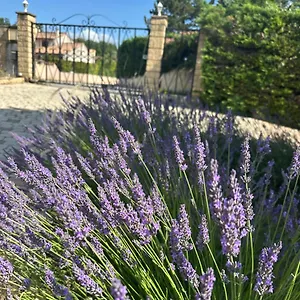 Les Clematites , Donzère Frankreich